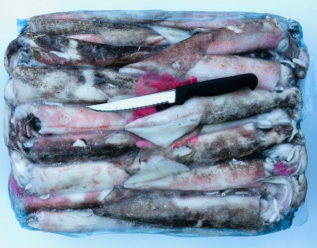 Calamari patagonia da pulire C3 (16/20 cm) 