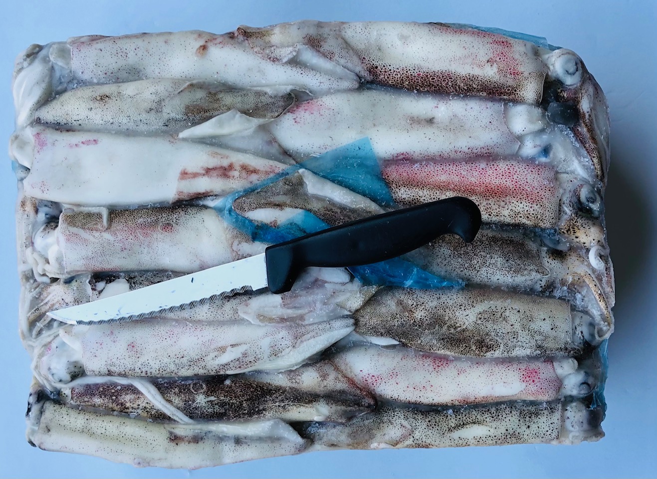Calamari patagonia da pulire C4L  (12/15 cm)