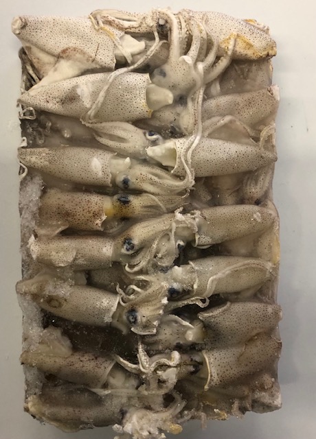 Calamaretti da 3-5 cm interi